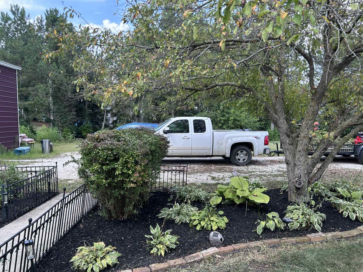 Mulched bed of hostas with a brick border under a mature tree, work truck and trailer behind