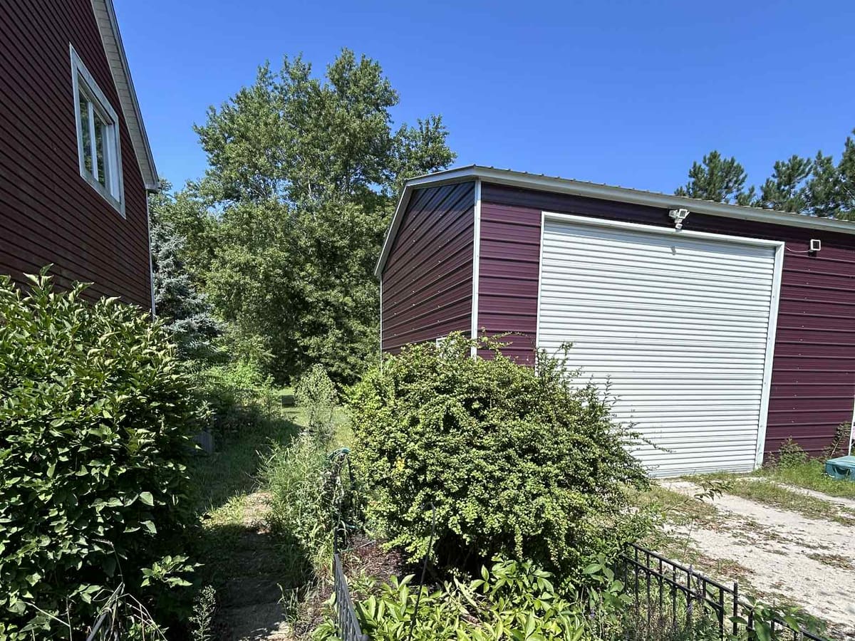 Overgrown side path between a house and outbuilding, beds lost to weeds